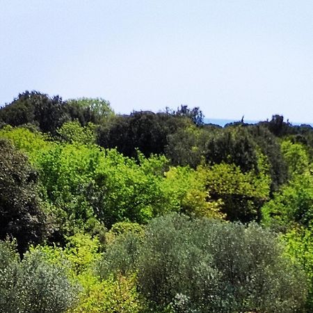 Villa Mareonda - Apartments Sussurro โรวีน ภายนอก รูปภาพ