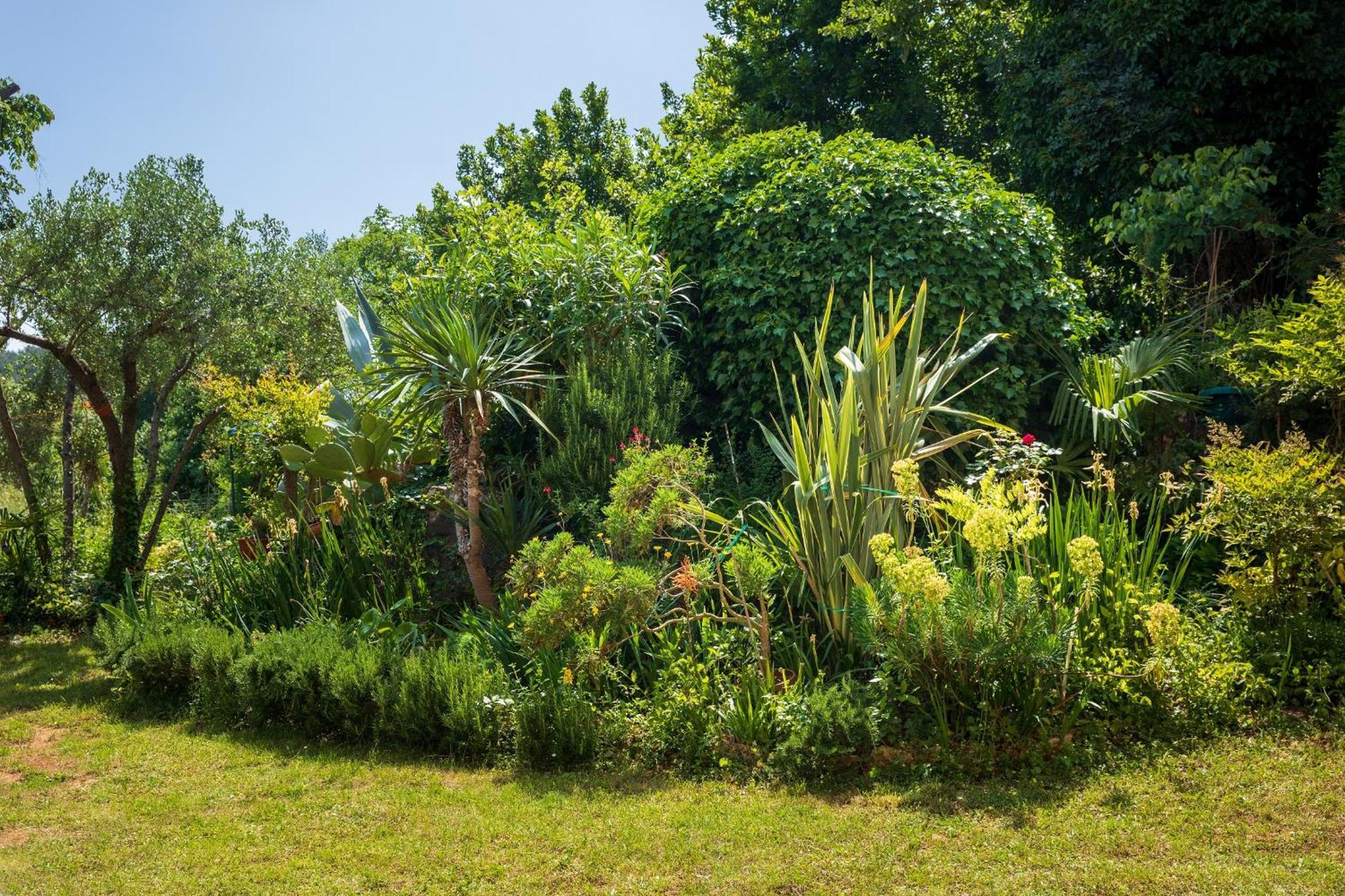 Villa Mareonda - Apartments Sussurro โรวีน ภายนอก รูปภาพ